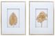 A & B Home 2-Piece Gold Zola Botanical Wall Art Set-1