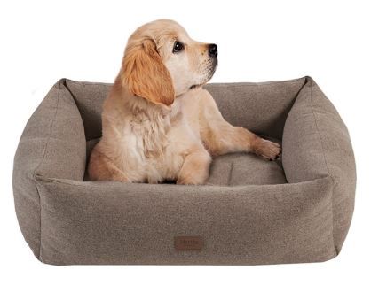 Olliix by Martha Stewart Charlie Brown 21" x 25" + 8" Four Sided Bolster with Ortho Base and Removable Cover-2