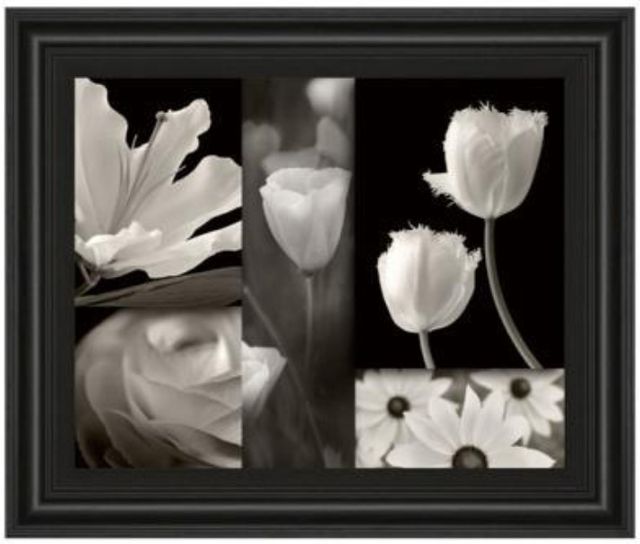 Classy Living Dennis Frates Summer Garden Il Wall Art-0