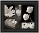 Classy Living Dennis Frates Summer Garden Il Wall Art-0