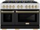 ZLINE Select Autograph Edition 48" Stainless Steel Pro Style Dual Fuel Range with Black Matte Doors and Champagne Bronze Accents-0
