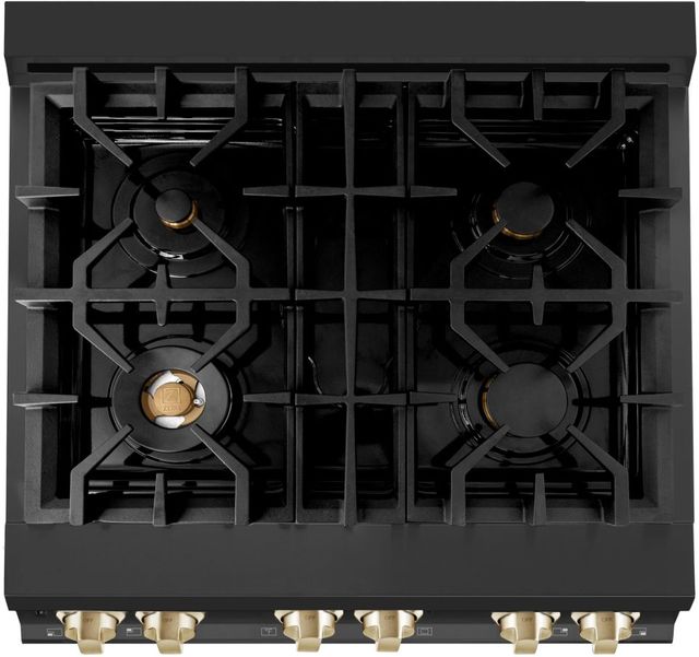ZLINE Autograph Edition Legacy 30'' Black Stainless Steel Pro-Style Dual Fuel Range with Electric Convection Oven and Polished Gold Accents-3