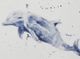 StyleCraft Ocean Life Blue/Light Blue//White Dolphin Wall Art-1