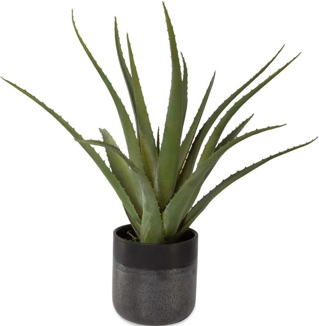 Uttermost® Tucson Gloss Glaze Aloe Planter-0
