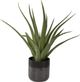 Uttermost® Tucson Gloss Glaze Aloe Planter-0