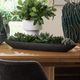 Uttermost® Verde Black/Green Succulent Centerpiece in Bowl-1