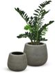 Le Present Belly Concrete Grey 19" Planter-2