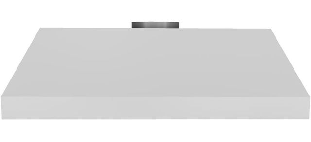 Vent-A-Hood® 42" Stainless Steel Wall Mounted Liner Insert-0