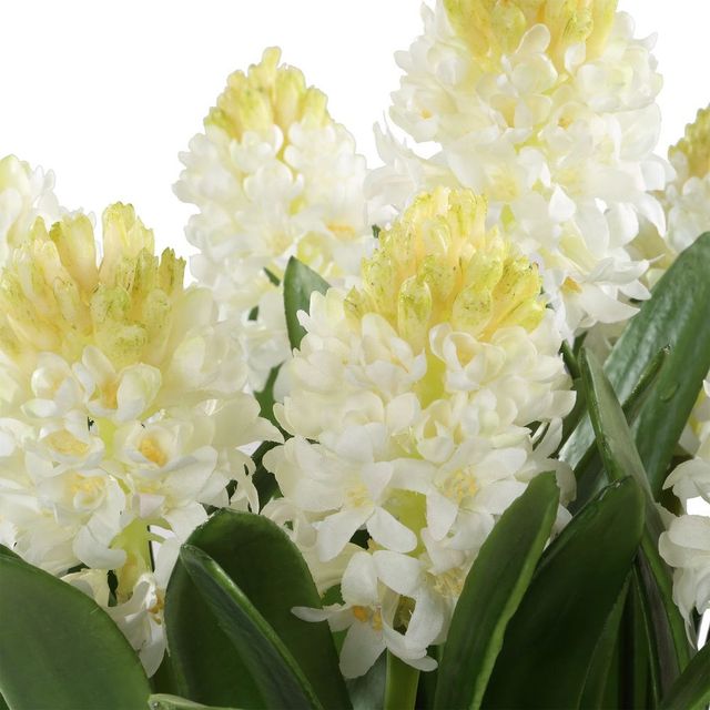 Uttermost® Sincerity Green/Terracotta/White Potted Hyacinth Plant-3