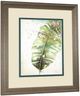 Classy Living Patricia PintoWatercolor Plantain Leaves Il Wall Art-3