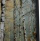 Crestview Collection Rivers Wall Art -1