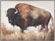 Crestview Collection Bolting Bison Brown Wall Art-0