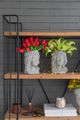 A & B Home Gray 6" Bust Wall Planter-5