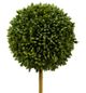 A & B Home 3-Piece Green Potted Boxwood Topiaries Set-3