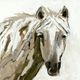 Classic Home Bronco Painting by Buddy Whitlock-1