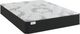 Sherwood® Bedding XXV Manhattan Nyx 10" Wrapped Coil Ultra Firm Tight Top Twin Mattress in a Box-0