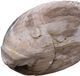 A & B Home Brown Medium Fish Statue-3