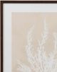 Bassett Mirror Cystoseira Ericoides Beige Framed Print-1