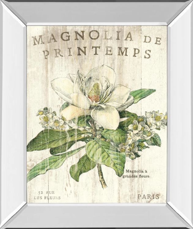 Classy Art Magnolia De Printemps by Sue Schlabach Mirror Framed Wall Art-0