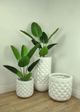 Le Present Traveller’s Green 70.5" Faux Botanical Palm-5