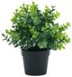 A & B Home Greenery with Pot-0