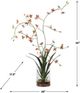 Uttermost® Dancing Green/Orange Orchid-2