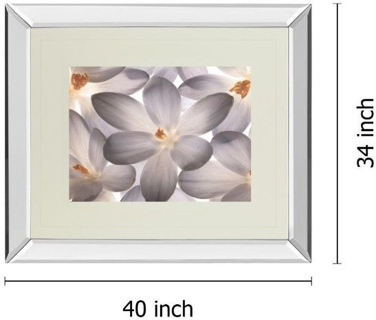 Classy Living Assaf Frank Petal Perfect Wall Art-2