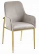 ACME Furniture Barnard 2-Piece Gray/Mirrored Gold Side Chair Set-0