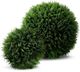 Le Present Cedar Green Faux Botanical Ball-1