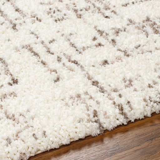 Surya Ultra Shag Beige 5'x7' Area Rug-2