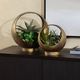 Crestview Collection Sansa Gold Containers-1
