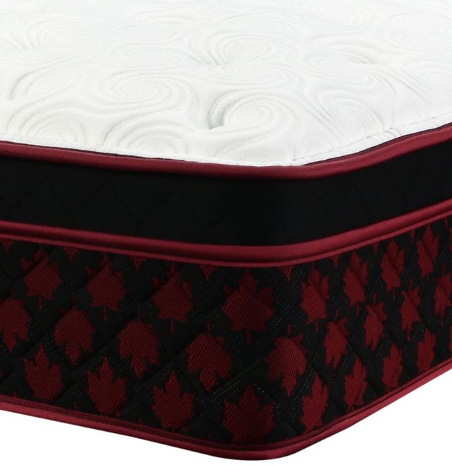 Springwall® Comfort Pockets® 12" Wrapped Coil Medium Euro Top Queen Mattress in a Box-1