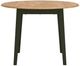 Signature Design by Ashley® Gesthaven Natural Dining Table with Green Base-1