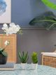 A & B Home 2-Piece Green Potted Faux Aloe and Jasmine Plant Set-5