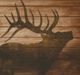 Stylecraft Black/Brown/Dark Brown Wall Art-1