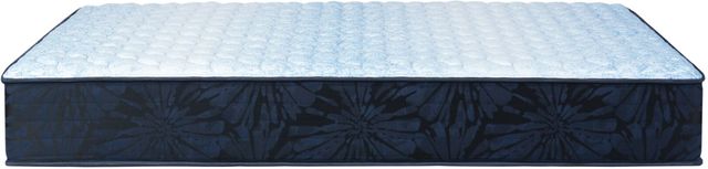 Serta® Classic® Alden 11.5" Wrapped Coil Medium Tight Top Twin Mattress-2