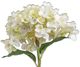 A & B Home White Hydrangea -1