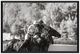 Crestview Collection The Art of Polo 1 3-Piece Wall Art Set-1
