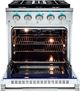 VEZENI Reminiscia 30" Stainless Steel Pro Style Dual Fuel Range-2