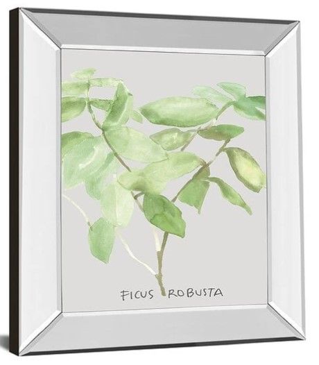 Classy Art Ficus Robusta by Katrien Soeffers Mirror Framed Wall Art-1