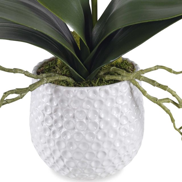 Uttermost® Cami Green/White Orchid-2