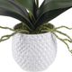 Uttermost® Cami White Orchid-2