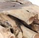Classic Home Cypress Root Natural Square Coffee Table -3