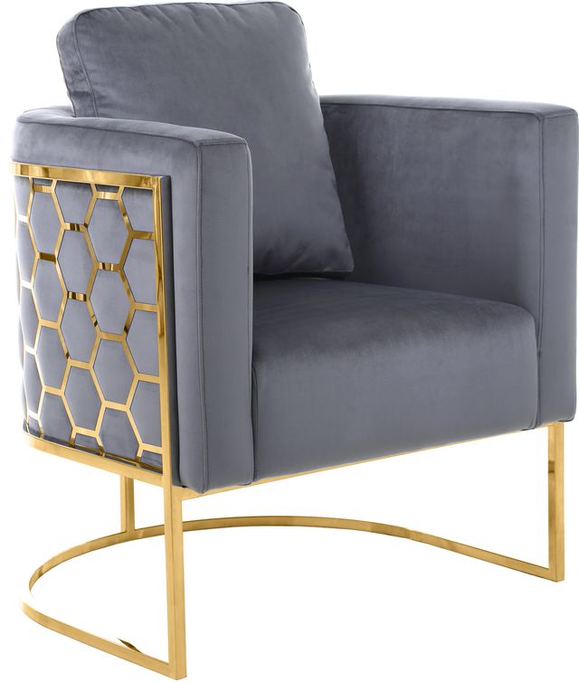 Meridian Furniture Casa Grey/Gold Velvet Chair-0
