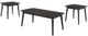 Coaster® Radley 3-Piece Black Occasional Table Set-0