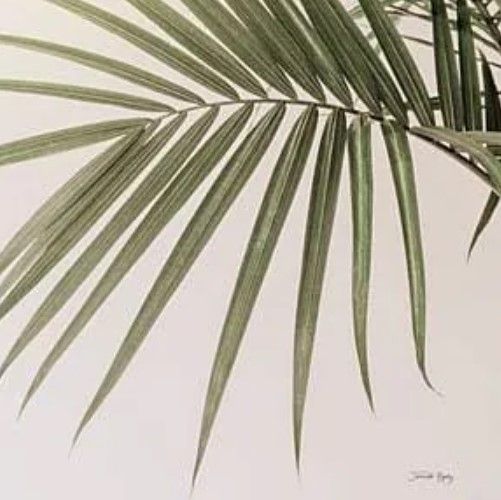 Classy Art Sunkissed Palm by Jennifer Rigsby Wall Art-1