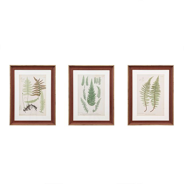 Olliix by Martha Stewart Lady Fern Collection 3 Piece Set Green Single Mat Framed Graphic-0