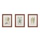 Olliix by Martha Stewart Lady Fern Collection 3 Piece Set Green Single Mat Framed Graphic-0