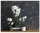 A & B Home White Orchid-1