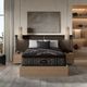 Beautyrest Black® Series 2 Pocketed Coil® 16.25" Plush Pillow Top Queen Mattress-1